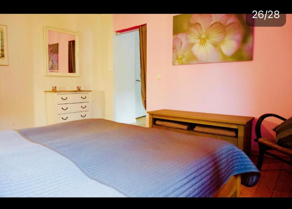 Apartment Moselblick Mit Kamin Traben-Trarbach Dış mekan fotoğraf